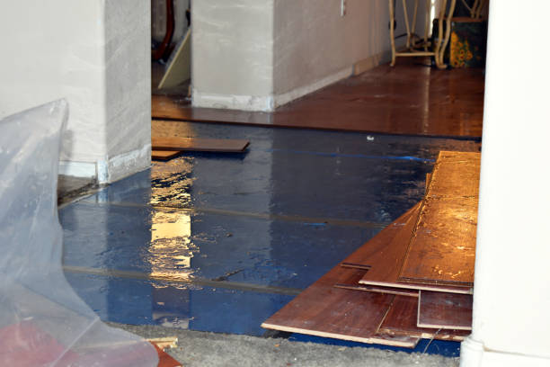 Professional Flood Damage Repair technician working in Sunset, ME